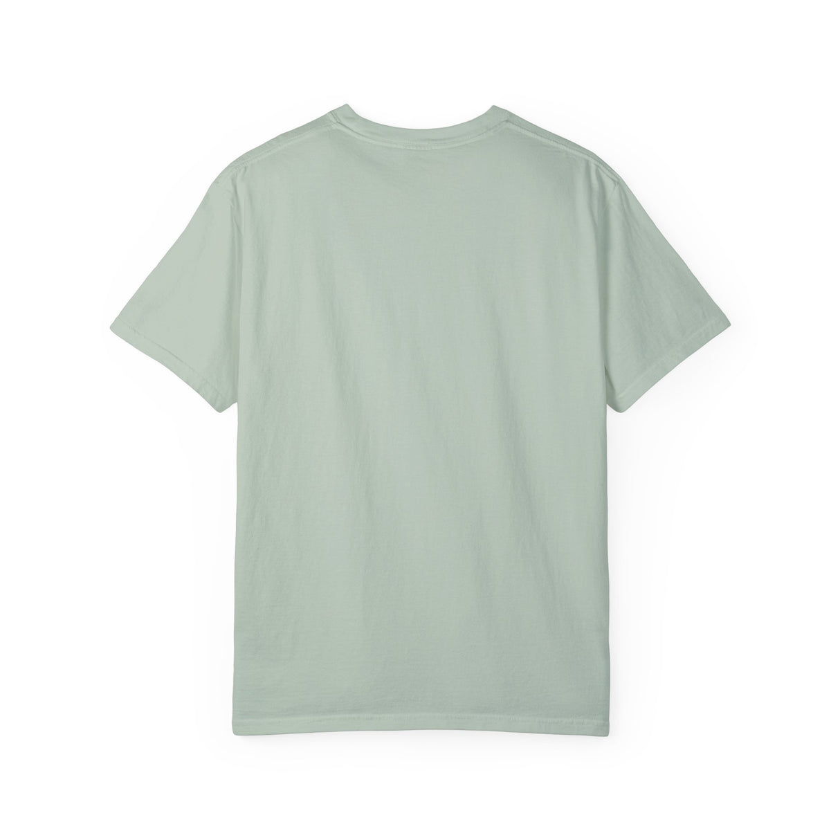Auburn "SchoolHouse" Comfort Colors T-Shirt - Unisex