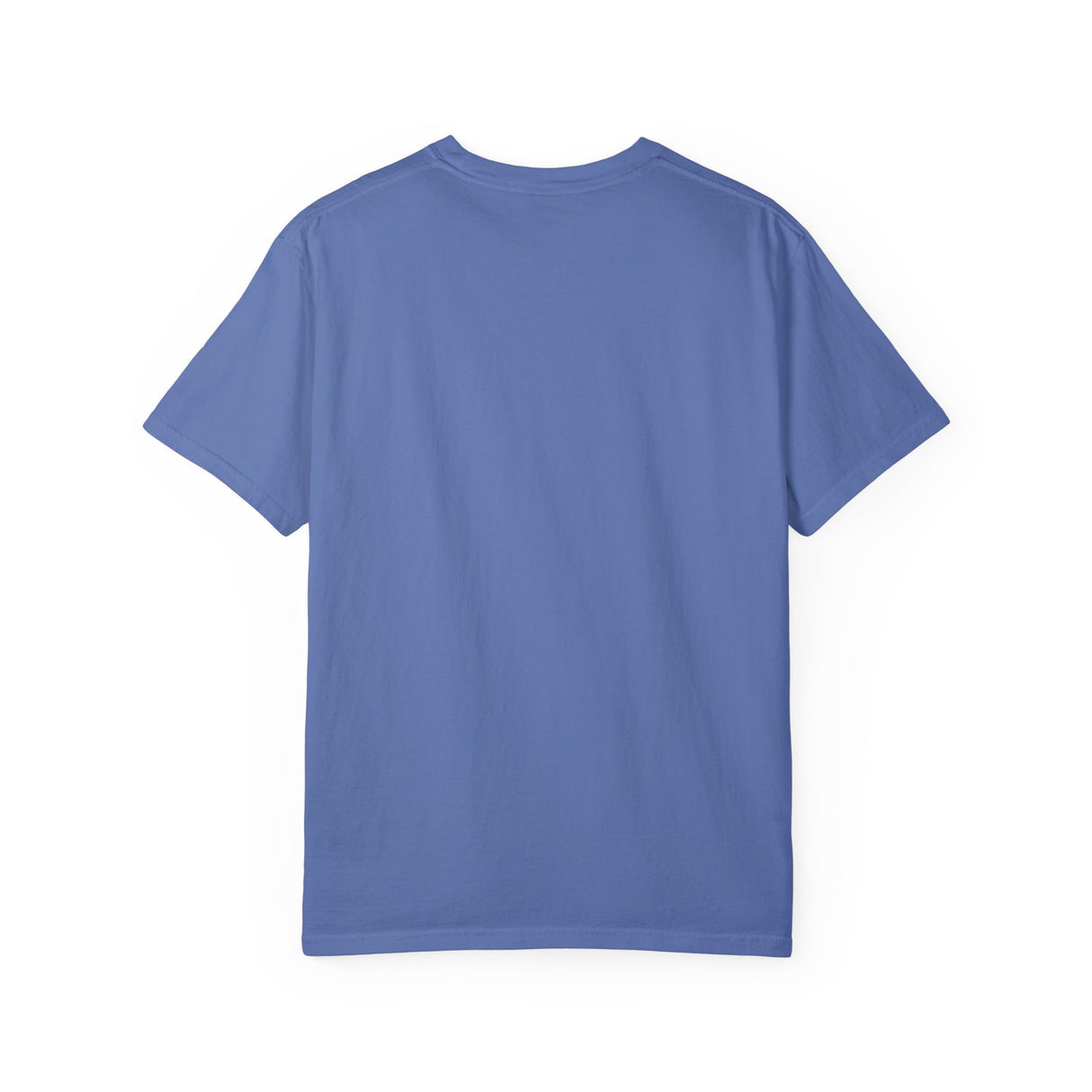 Auburn "SchoolHouse" Comfort Colors T-Shirt - Unisex
